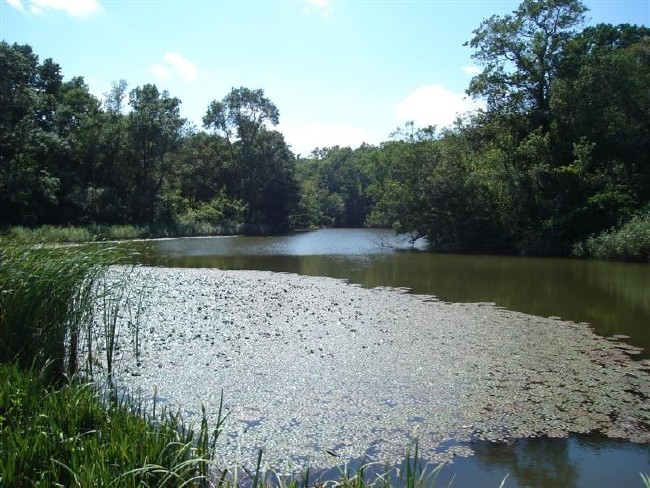 Bayramda İstanbul'da kalanlara öneriler 26