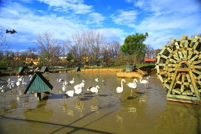 Bayramda İstanbul'da kalanlara öneriler 38