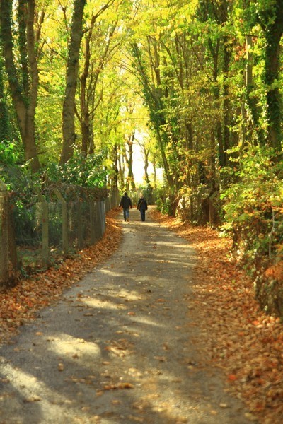 Bayramda İstanbul'da kalanlara öneriler 39