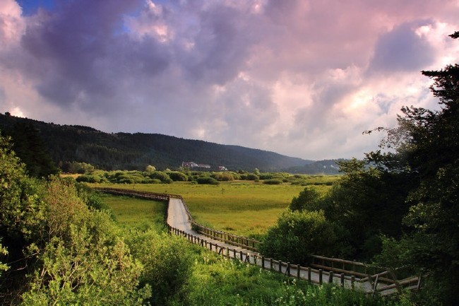 Bayramda İstanbul'da kalanlara öneriler 5