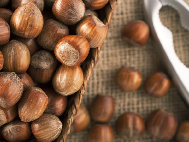 Kavrulmuş fındıktaki tehlike 1