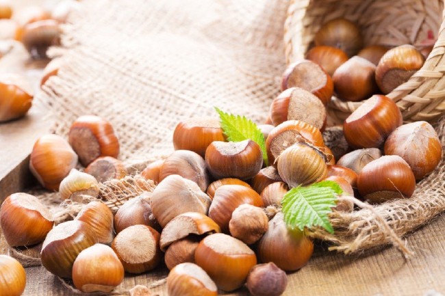 Kavrulmuş fındıktaki tehlike 13