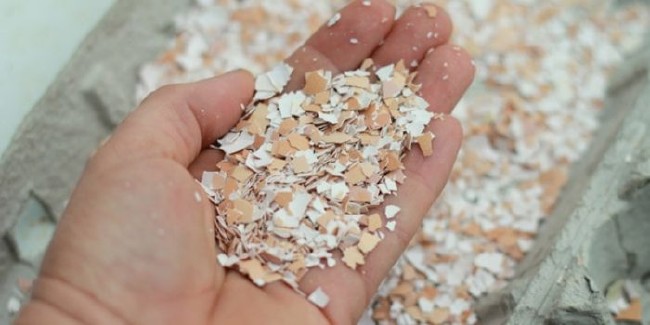 Uzmanlardan ilginç yumurta kabuğu önerisi 11