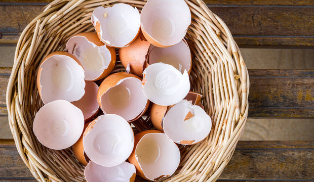 Uzmanlardan ilginç yumurta kabuğu önerisi 8