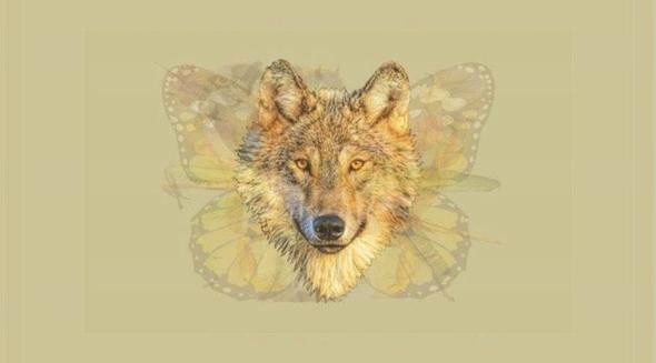 Hızla yayılan karakter testi: Hangi hayvanı... 11