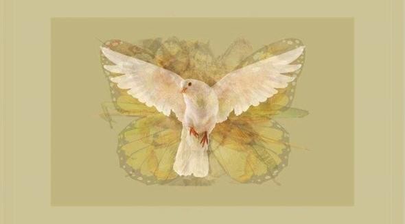 Hızla yayılan karakter testi: Hangi hayvanı... 17