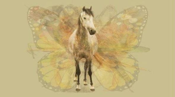 Hızla yayılan karakter testi: Hangi hayvanı... 3