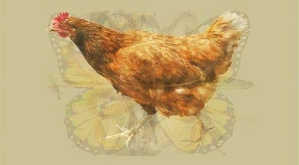 Hızla yayılan karakter testi: Hangi hayvanı... 5