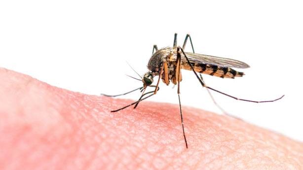 10 hastalık 10 tuhaf komplo 20