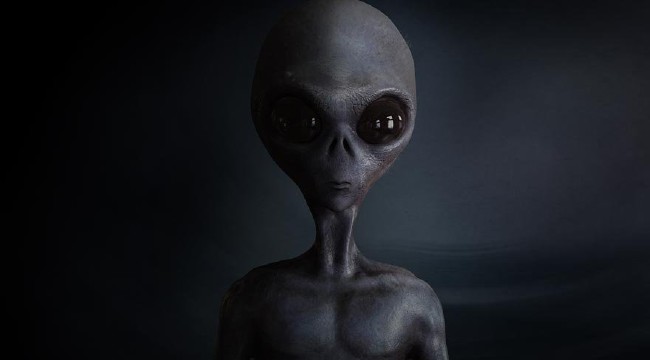 10 hastalık 10 tuhaf komplo 1