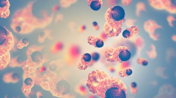 10 hastalık 10 tuhaf komplo 18