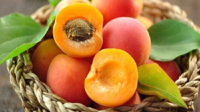 İşte en besleyici yiyecek hangisi sorusunun yanıtı 15