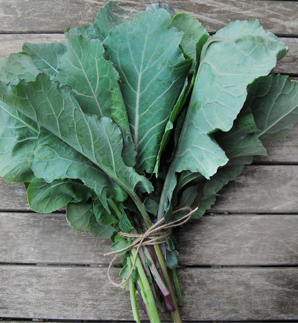 İşte en besleyici yiyecek hangisi sorusunun yanıtı 17