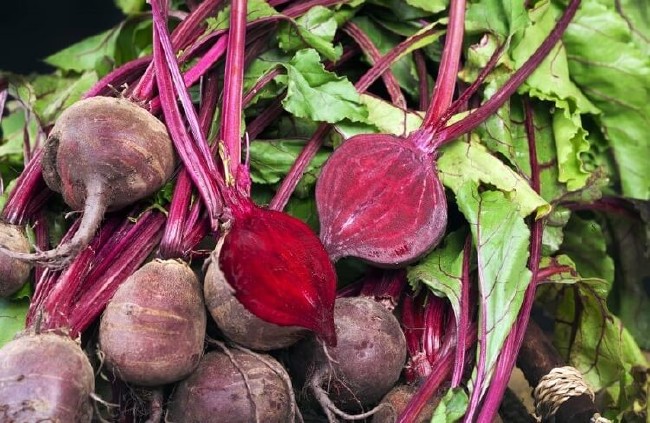 İşte en besleyici yiyecek hangisi sorusunun yanıtı 24