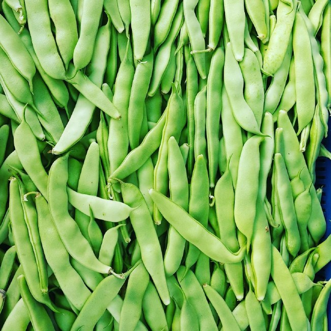 İşte en besleyici yiyecek hangisi sorusunun yanıtı 9