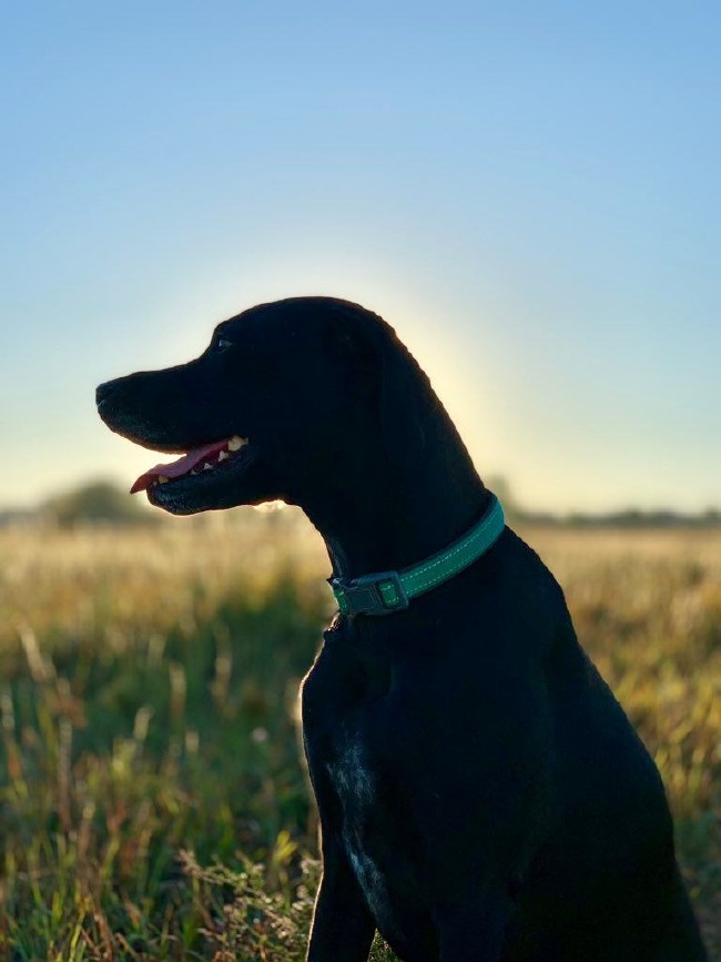 İşte yeni iPhone’larla çekilmiş fotoğraflar... 9