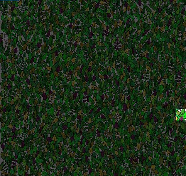 Sosyal medyayı ikiye bölen fotoğrafın sırrı yıllar sonra çözüldü 12