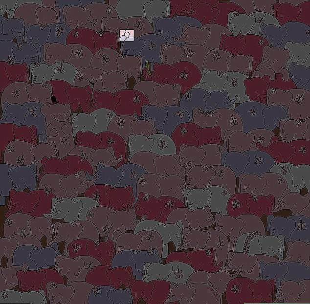 Sosyal medyayı ikiye bölen fotoğrafın sırrı yıllar sonra çözüldü 14