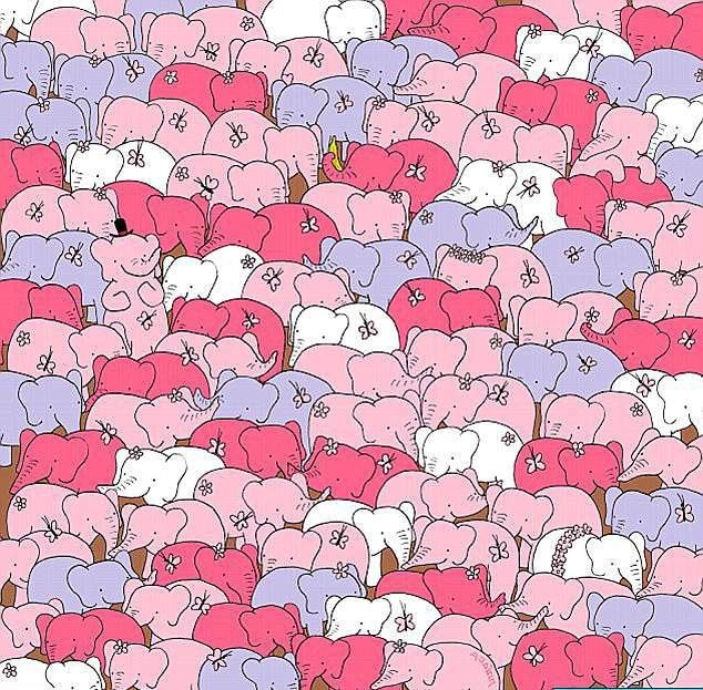 Sosyal medyayı ikiye bölen fotoğrafın sırrı yıllar sonra çözüldü 8