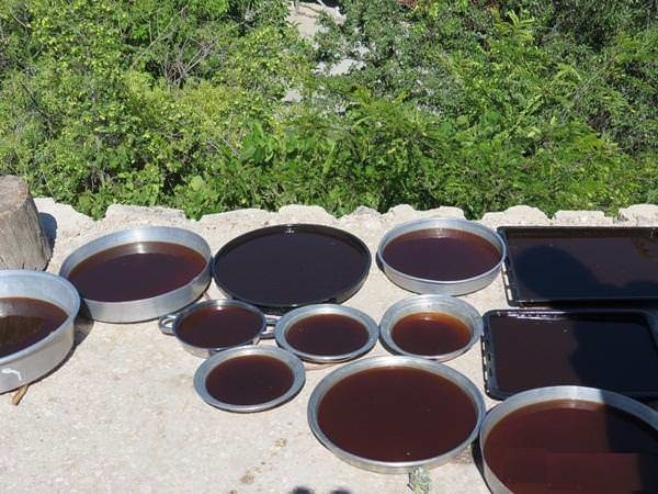 40 Hastalığa karşı faydalı müthiş karışım 18