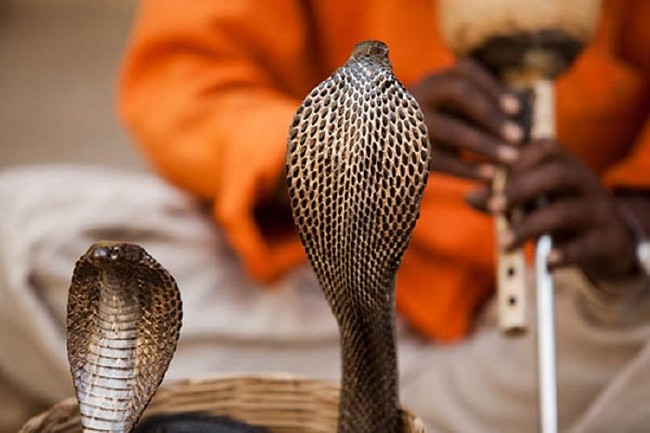 Çok az kişi tarafından bilinen ilginç bilgiler! Ay nasıl kokar? 41