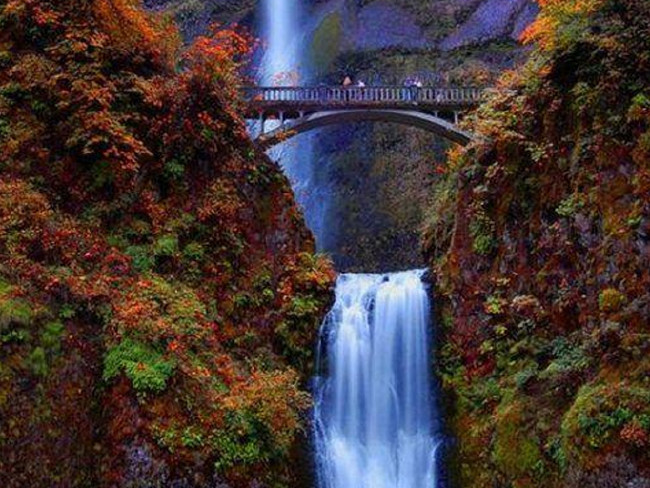 Dünyanın en tehlikeli bölgeleri 1