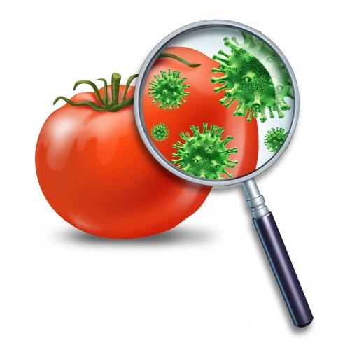 Güvenli gıda nasıl anlaşılır? 2