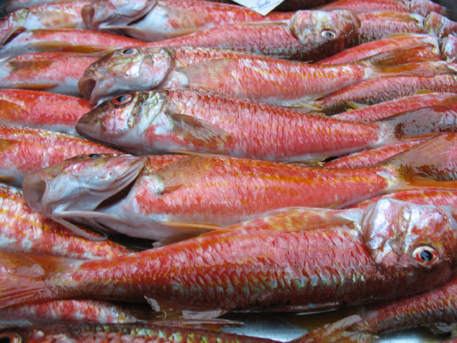 Güvenli gıda nasıl anlaşılır? 20