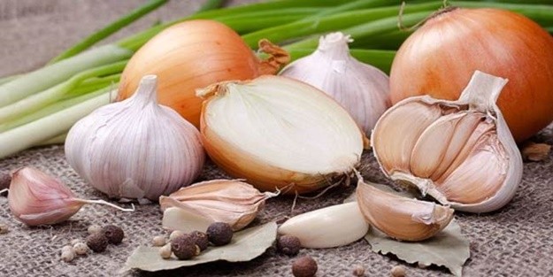 Beyni genç tutmak için soğan tüketin 16