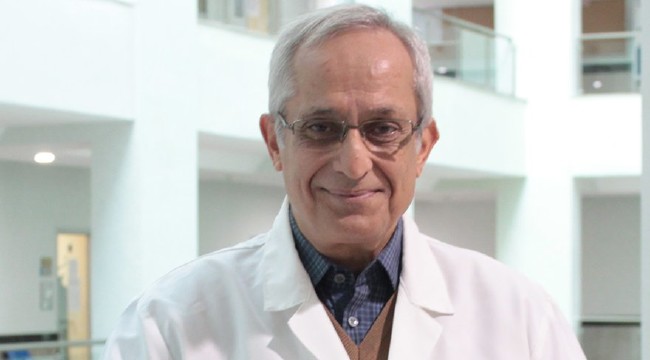 Beyni genç tutmak için soğan tüketin 6