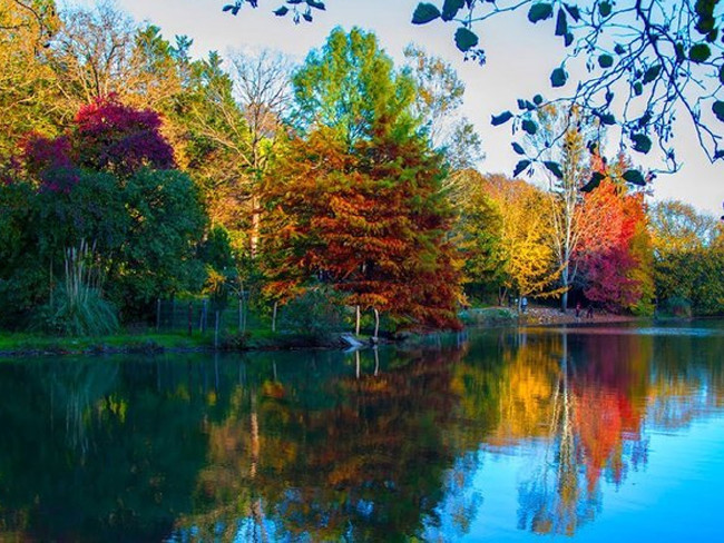 Atatürk Arboretumu İstanbulluların sığınma yeri 1