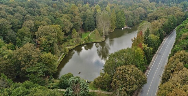 Atatürk Arboretumu İstanbulluların sığınma yeri 2