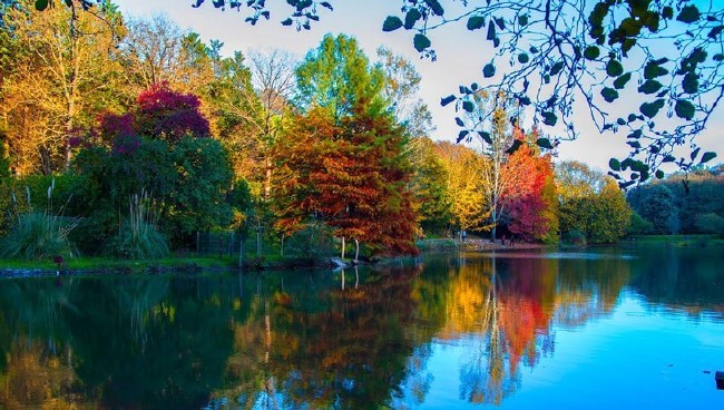 Atatürk Arboretumu İstanbulluların sığınma yeri 13