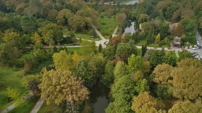 Atatürk Arboretumu İstanbulluların sığınma yeri 5