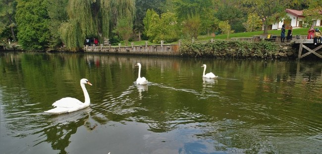 Atatürk Arboretumu İstanbulluların sığınma yeri 9