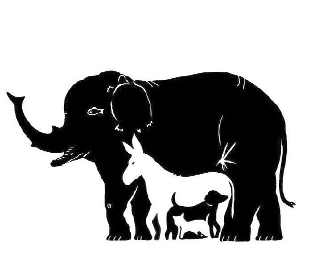 Bu resimde ilk ne görüyorsun? Kişilik testi 5