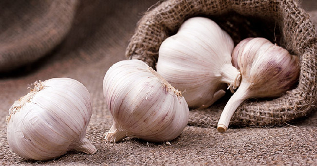 Meğer yanlış biliyormuşuz: Sarımsak yutmak... 14