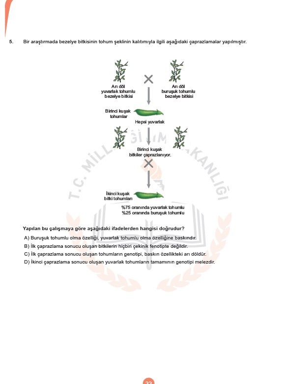 LGS Kasım ayı örnek soruları 23