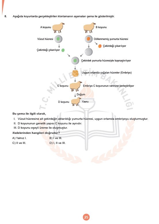LGS Kasım ayı örnek soruları 26