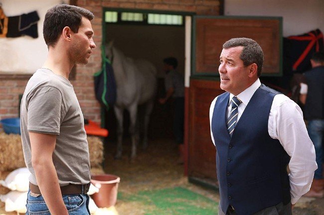 Şampiyon hakkında bilmeniz gerekenler 13