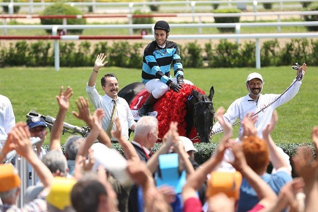 Şampiyon hakkında bilmeniz gerekenler 2