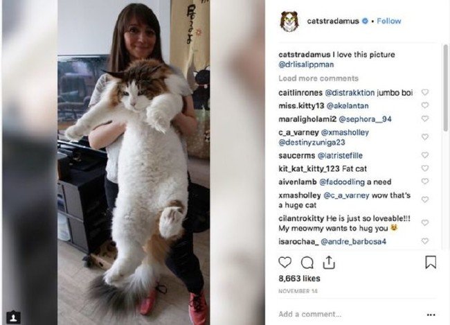 Dünyanın en büyük hayvanları 4