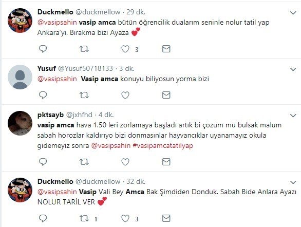 Vasip Amca yap bi güzellik 8