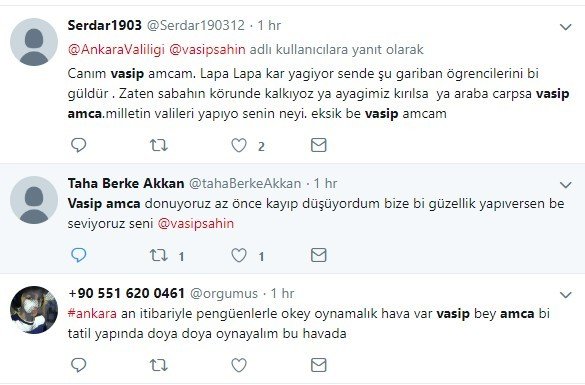 Vasip Amca yap bi güzellik 9