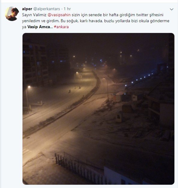 Vasip Amca yap bi güzellik 10