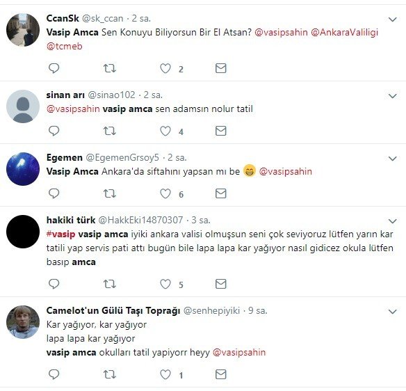 Vasip Amca yap bi güzellik 11