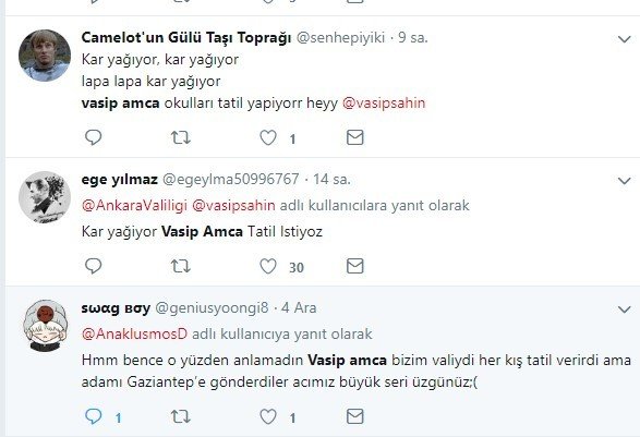 Vasip Amca yap bi güzellik 12