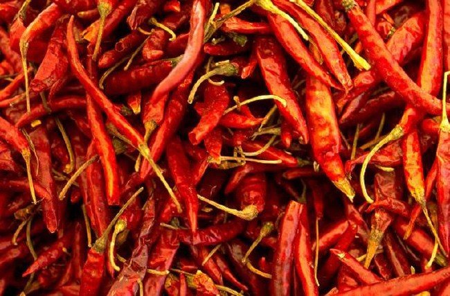 Çok az kişi tarafından bilinen ilginç bilgiler 23