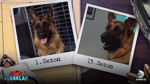 Arka Sokaklar'da 500. bölüm: İşte oyuncuların 13 yıllık değişimi! 3