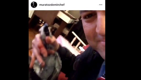 Ünlülerden işkenceye sert tepki 1